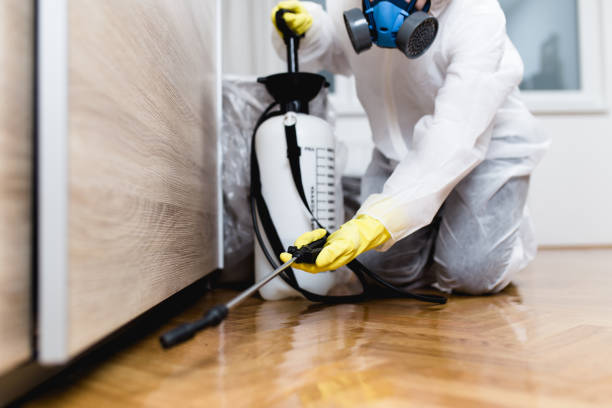 Best Residential Pest Control  in Pine Bluffs, WY