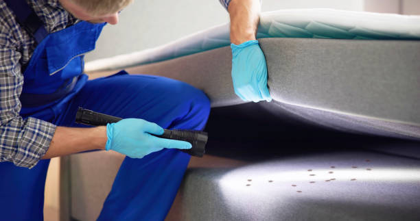 Best Pest Control Treatment  in Pine Bluffs, WY