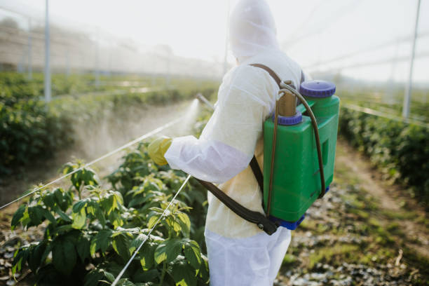 Best Best Pest Control Near Me  in Pine Bluffs, WY